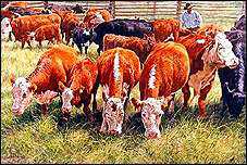 One Cow Too Many by Lee Cable Pricing Limited Edition Print image