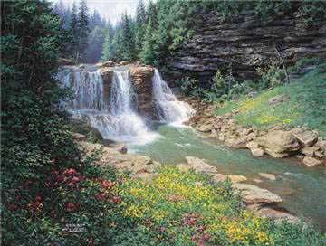 Waterfall Uncnvs by Larry Dyke Pricing Limited Edition Print image