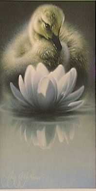 Water Lily by Jay J Johnson Pricing Limited Edition Print image