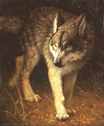 Wolf Walk by Jay J Johnson Pricing Limited Edition Print image