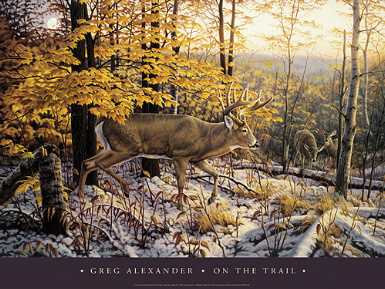 On The Trail by Greg Alexander Pricing Limited Edition Print image