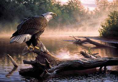 Scouting The River by Greg Alexander Pricing Limited Edition Print image