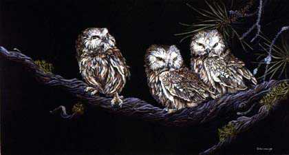 Saw Whet Trio by Ron Ukrainetz Pricing Limited Edition Print image