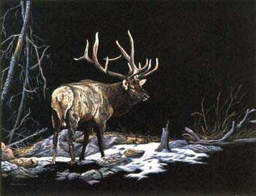 Loner Elk by Ron Ukrainetz Pricing Limited Edition Print image