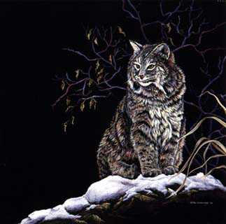 Winters Kitten by Ron Ukrainetz Pricing Limited Edition Print image