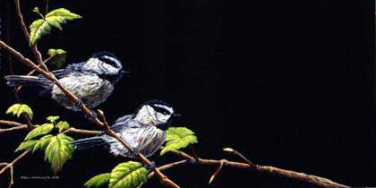 Chickadee Dee by Ron Ukrainetz Pricing Limited Edition Print image