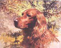 Irish Setter Head by Robert Abbett Pricing Limited Edition Print image