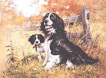 English Springer & Pup by Robert Abbett Pricing Limited Edition Print image