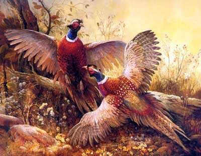 Pheasant Phracas by Beverly Carrick Pricing Limited Edition Print image