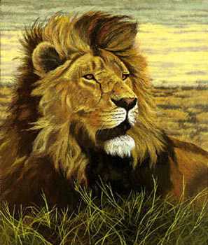 Lion Head Study by R G Finney Pricing Limited Edition Print image