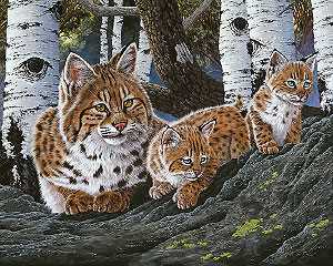 Looking Breakfstgccnvs by R G Finney Pricing Limited Edition Print image