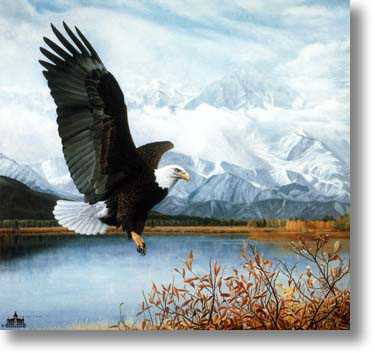 Wings Over America by Charles Frace' Pricing Limited Edition Print image