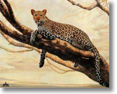 African Leopard by Charles Frace' Pricing Limited Edition Print image