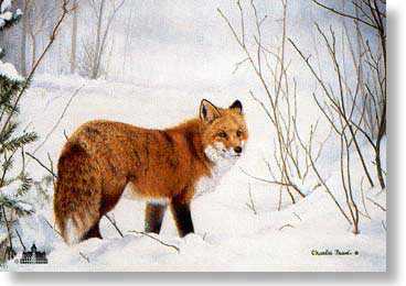 A Touch Of Red Fox by Charles Frace' Pricing Limited Edition Print image