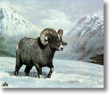 Bighorn Country by Charles Frace' Pricing Limited Edition Print image