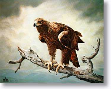 Golden Eagle by Charles Frace' Pricing Limited Edition Print image
