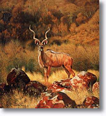 Greater Kudu by Charles Frace' Pricing Limited Edition Print image