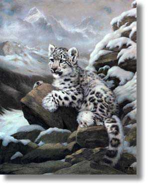 Himalayan Prince by Charles Frace' Pricing Limited Edition Print image