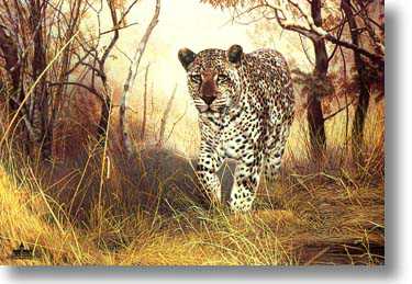 Lone Hunter by Charles Frace' Pricing Limited Edition Print image