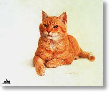 Morris The Cat by Charles Frace' Pricing Limited Edition Print image