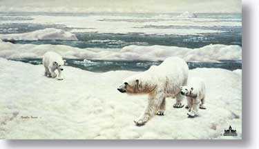 Polar Bear by Charles Frace' Pricing Limited Edition Print image