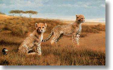Recess by Charles Frace' Pricing Limited Edition Print image