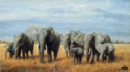 Treasures Of Africa by Charles Frace' Pricing Limited Edition Print image