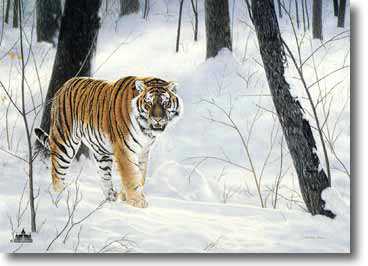 Emperor Siberia by Charles Frace' Pricing Limited Edition Print image