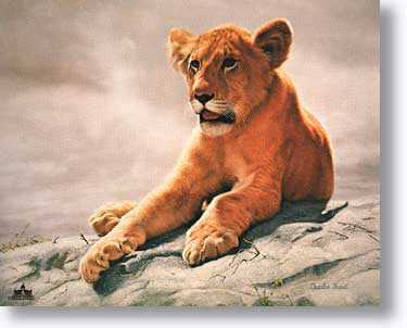 Lion Cub by Charles Frace' Pricing Limited Edition Print image