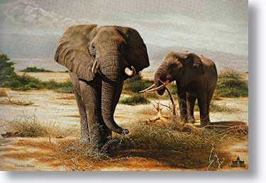 Elephants Killimanj by Charles Frace' Pricing Limited Edition Print image