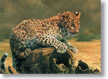 African Leopard Cub by Charles Frace' Pricing Limited Edition Print image