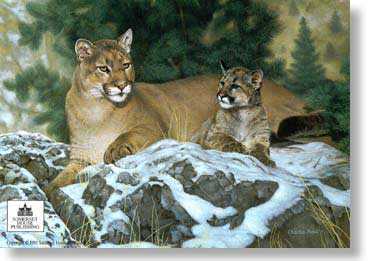 Family Ties Cougars by Charles Frace' Pricing Limited Edition Print image