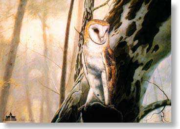 Barn Owl by Charles Frace' Pricing Limited Edition Print image