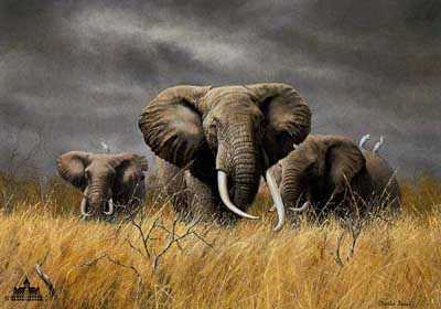 Power Serengeti by Charles Frace' Pricing Limited Edition Print image