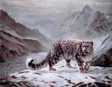 Snow Leopard by Charles Frace' Pricing Limited Edition Print image