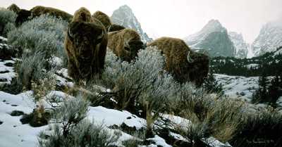 Mountain Echoes by Rod Frederick Pricing Limited Edition Print image