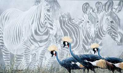Zebra Mirage by Rod Frederick Pricing Limited Edition Print image