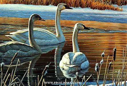 Golden Reflections by Cynthie Fisher Pricing Limited Edition Print image