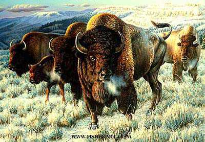 Prairie Thunder by Cynthie Fisher Pricing Limited Edition Print image