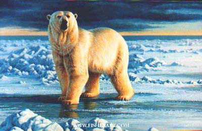 Arctic King by Cynthie Fisher Pricing Limited Edition Print image