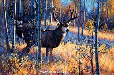 Elusive Ones by Cynthie Fisher Pricing Limited Edition Print image