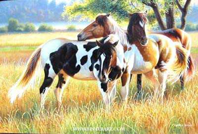 Three Amigos by Cynthie Fisher Pricing Limited Edition Print image