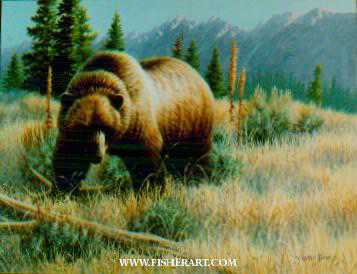 High Country Griz by Cynthie Fisher Pricing Limited Edition Print image