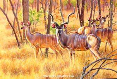 Zimbabwe Royalty by Cynthie Fisher Pricing Limited Edition Print image