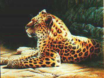 Golden Repose by Cynthie Fisher Pricing Limited Edition Print image
