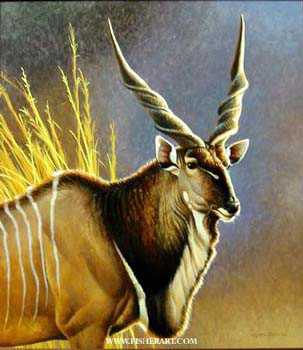 Lord Derby Eland by Cynthie Fisher Pricing Limited Edition Print image
