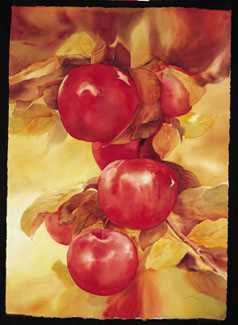 Yesterdays Autumn by Jeanne Bonine Pricing Limited Edition Print image