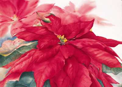 Poinsettia by Jeanne Bonine Pricing Limited Edition Print image