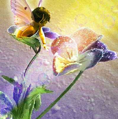 Pansy Fairy by Tom Cross Pricing Limited Edition Print image
