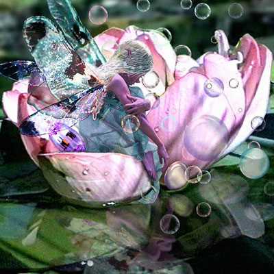 Water Lily by Tom Cross Pricing Limited Edition Print image